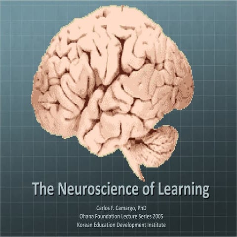 Neuroscience of Learning-CFC2010