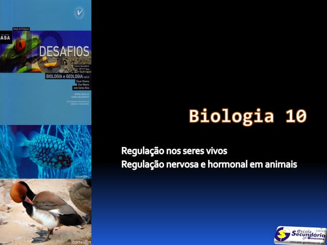 B23   regulação nervosa e hormonal ...