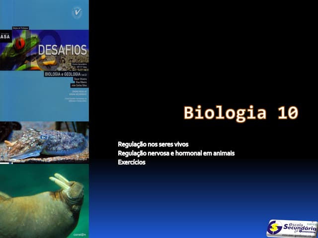 B24   regulação nervosa e hormonal ...