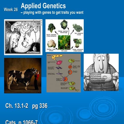  B26 vq applied genetics
