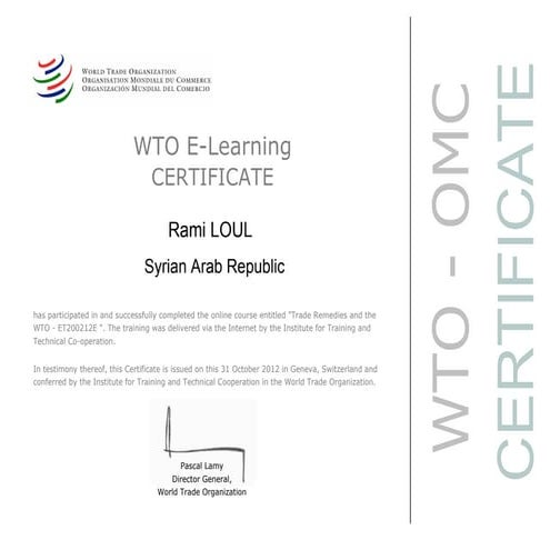 Launching into Machine Learning Certificate | PDF
