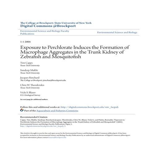 Tim Capps Masters Degree Publication