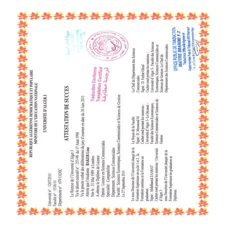 University Degree.PDF