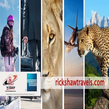 Global excursion company profile | PDF