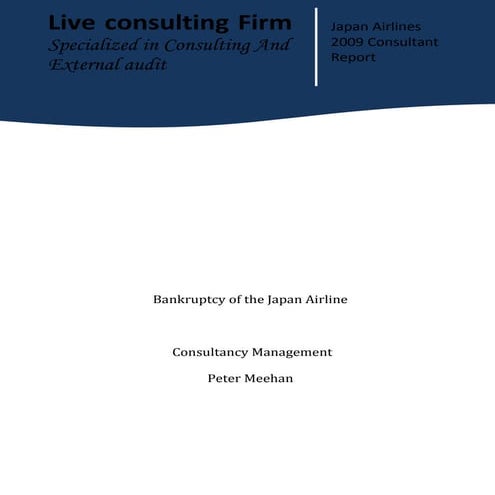 Consultancy Report Final | PDF
