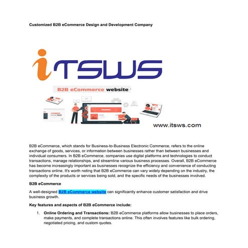 B2B eCommerce Design. Itsws Technologies