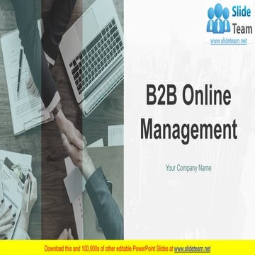 B2B Online Management PowerPoint Presentation Slides 