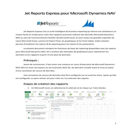 Jet Reports Pour Microsoft Dynamics NAV | PDF