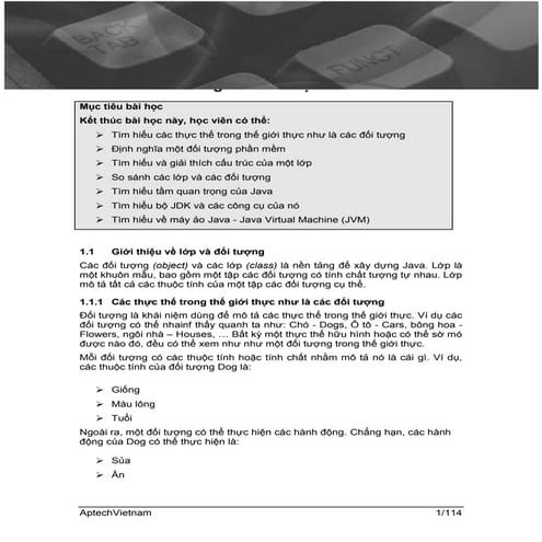 Lập Trình Hướng Đối Tượng trong Java ( Vietnamese ) | PDF