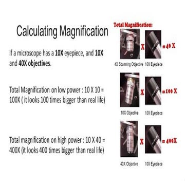 Biology Movement in and out of cells.pptx