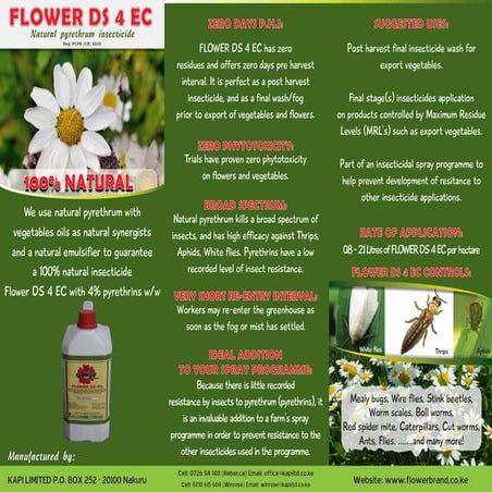 FLOWER DS 4 EC BROCHURE | PDF