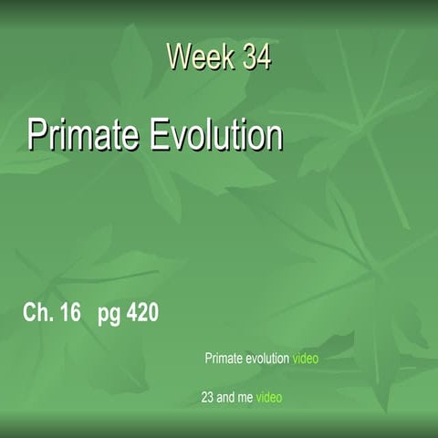  B34 ppt  primate evolution    ch 16