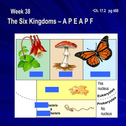  B37 ppt the six kingdoms – a e p fp a