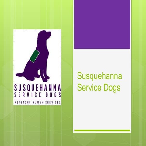 Service Dogs | PPTX