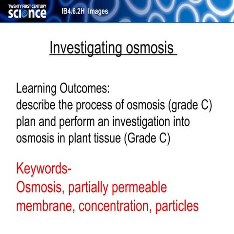 B4 06-2 h investigating osmosis