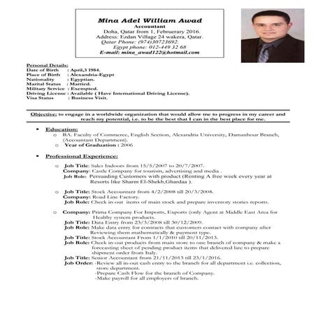 Mina adel william CV