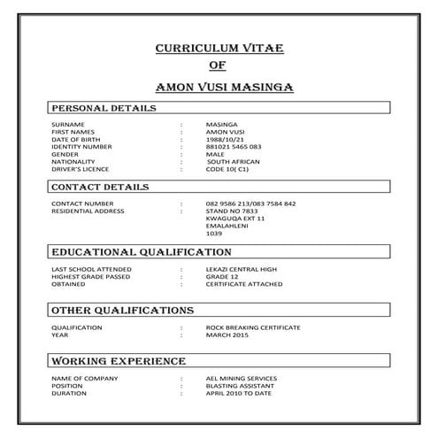 CURRICULUM VITAE. afrikaans docx | DOCX