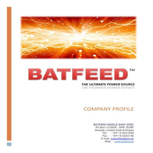 COMPANY PROFILE BATFEED.1