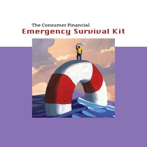 The Consumer Financial Emergency Survival Kit (2)