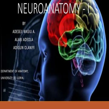 NEUROANATOMY - I