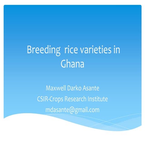 B4FA 2013 Ghana: Breeding rice varieties in Ghana - Maxwell Darko Asante