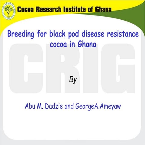 B4FA 2013 Ghana: Cocoa black pod resistance - Abu Dadzie and George Ameyaw