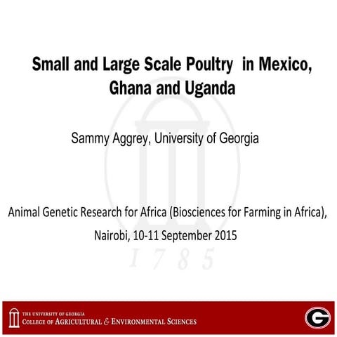 Small and large scale poultry in Mexico, Ghana and Uganda