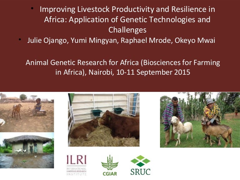 Improving Livestock Productivity And Resilience In Africa Applicatio