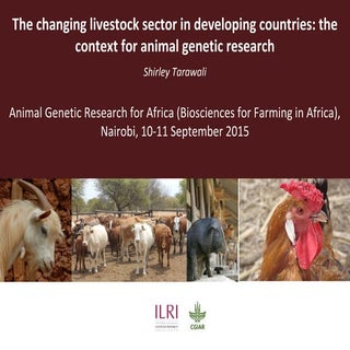 The changing livestock sector in de...