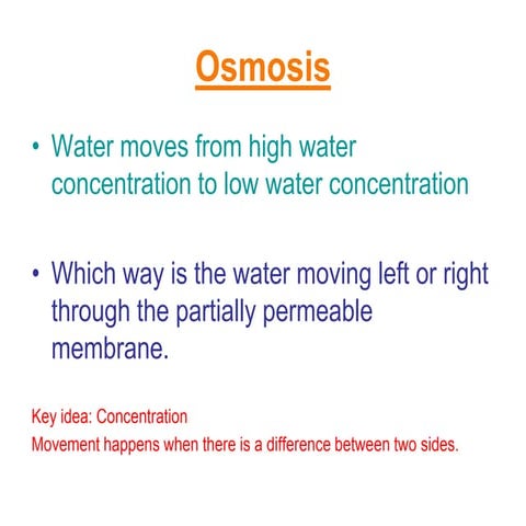 B4 Osmosis - which way will water move