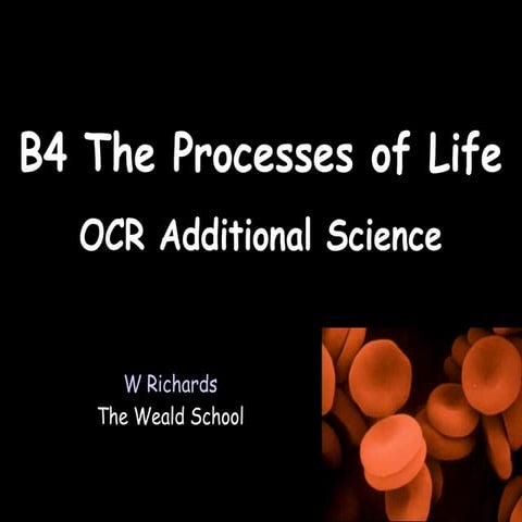 B4 The Processes Of Life