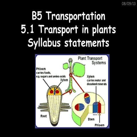 B5.1 syllabus statements