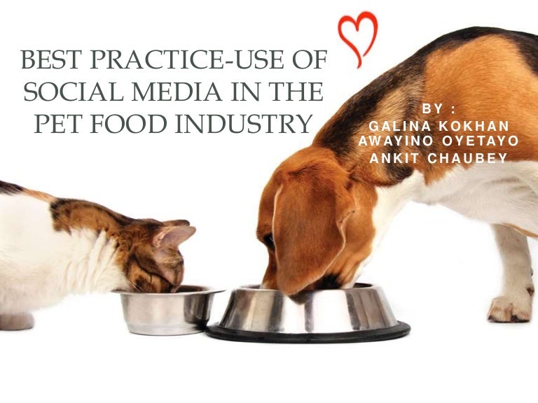 Best Practices (Marketing Dog Food; Japan)