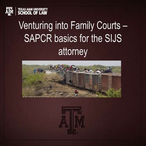 Dependency and Termination of Parental Rights | PPTX