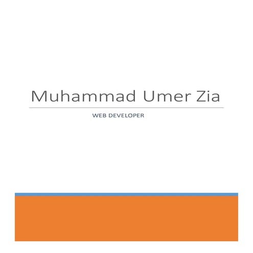 Muhammad Umer Zia - CV