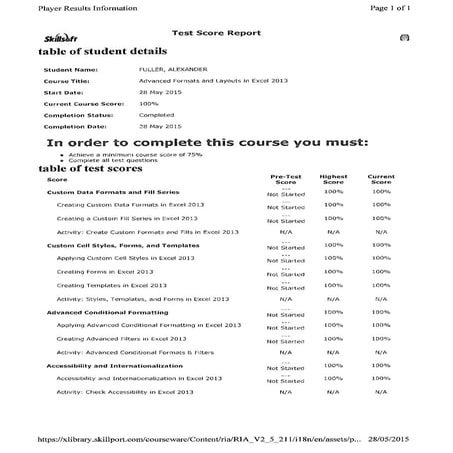 Advanced Formats and Layouts in Excel 2013