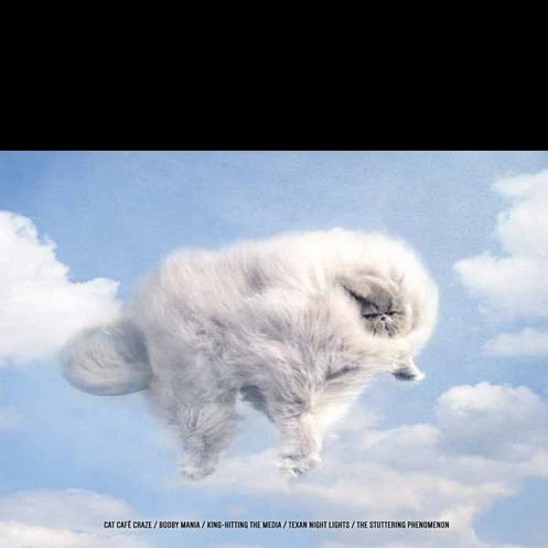 BULL Edition 2, 2014