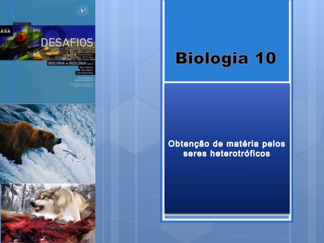 B6   obtenção de matéria pelos sere...