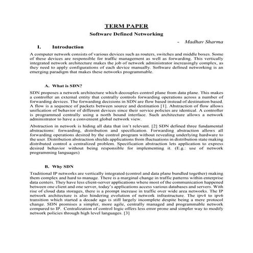 TERM PAPER | PDF