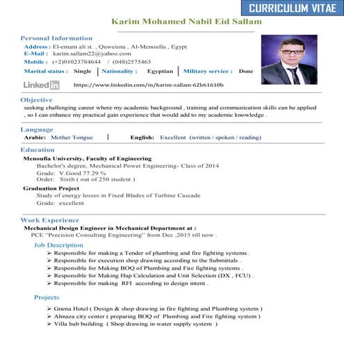 samiullah cv | DOCX