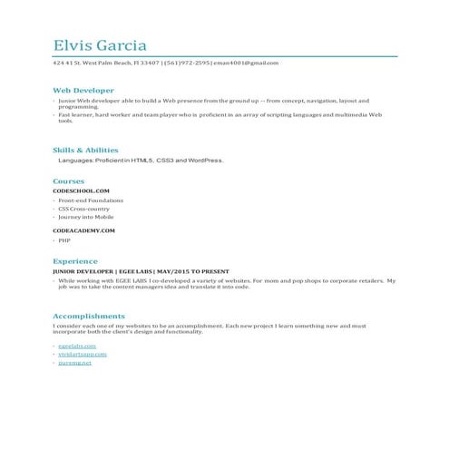 Elvis Garcia web resume