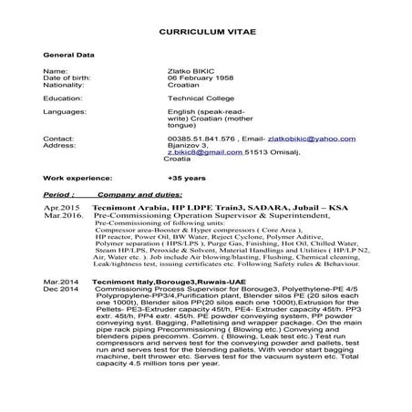 Bikic CV | RTF