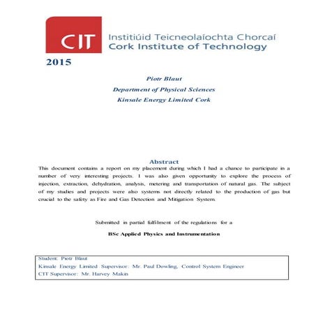 PIOTR BLAUT Student Placement Report