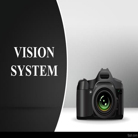 vision system