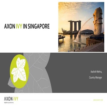 AXON ivy Pte Ltd Profile