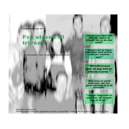 Fra stress til trivsel | PDF