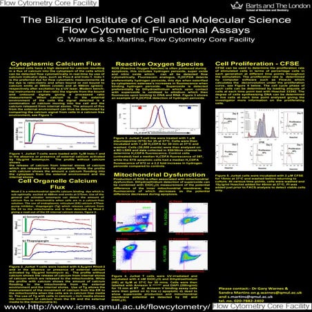 Intracellular Reactive Oxygen Species (ROS) Detection Assay Kit | TCI ...