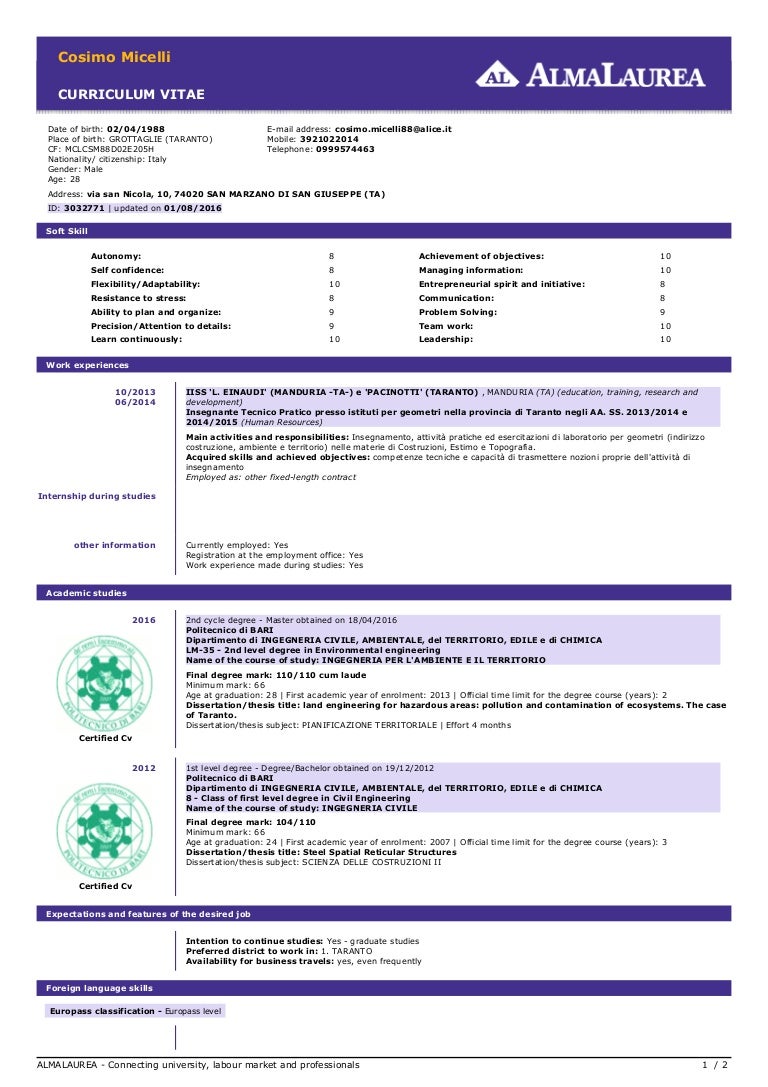 Curriculum vitae almalaurea 07 picture