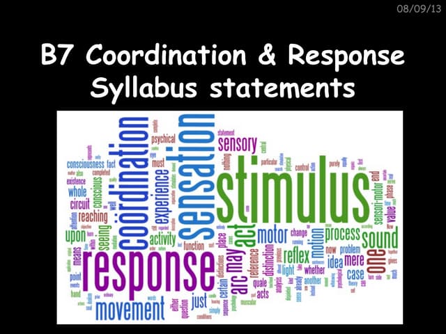 B7 syllabus statements | PPT