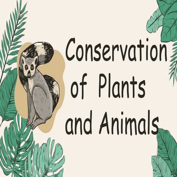 B8-Conservation of Plants and Animals.pptx